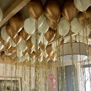 SURPRISE SETUP SERVICES